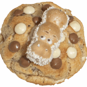 Happy Hippo Cookie